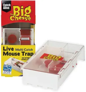 Big Cheese Multi-catch Baited Mouse Humane Trap {STV162}