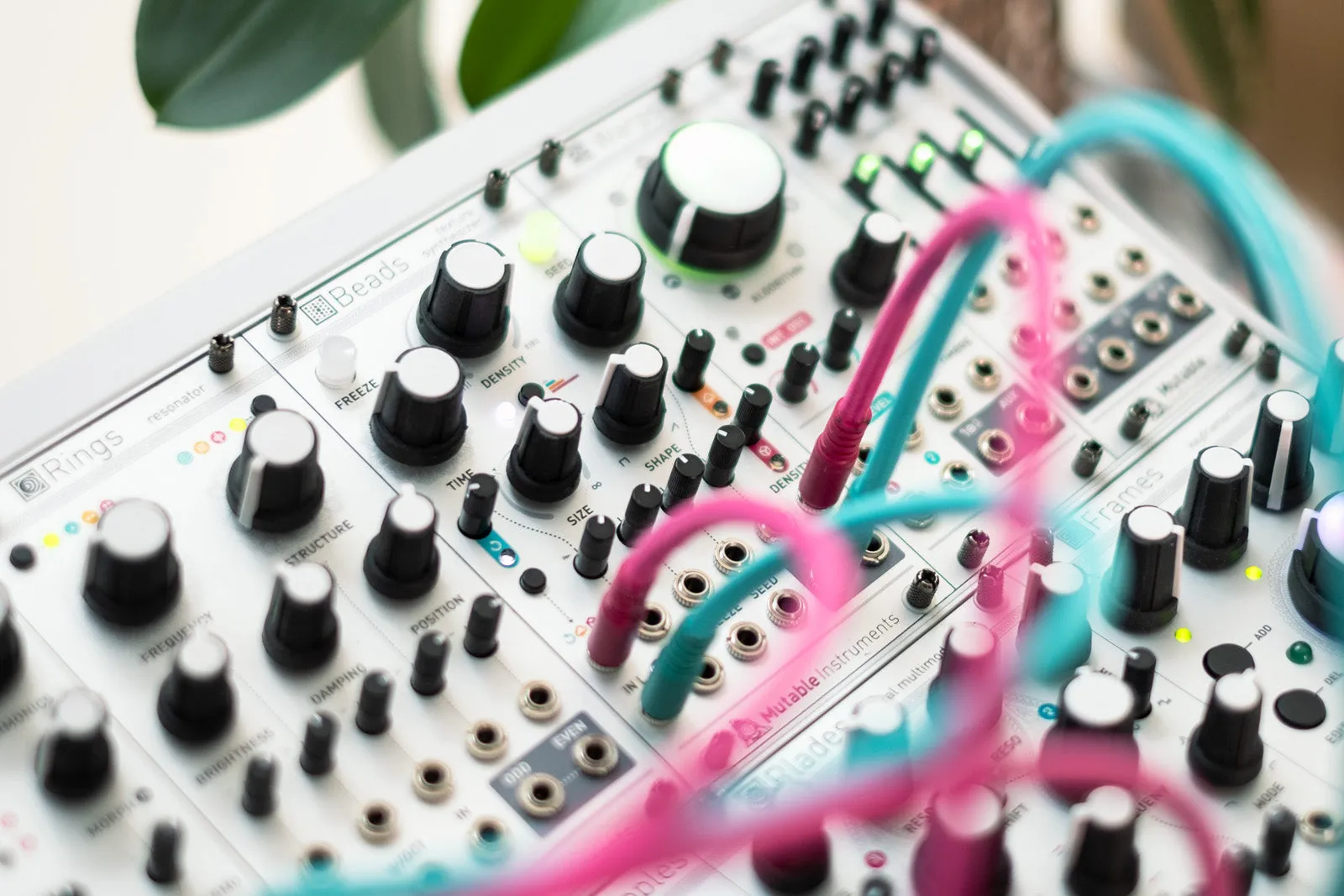 Brand New Mutable Instruments Beads with Full Warranty