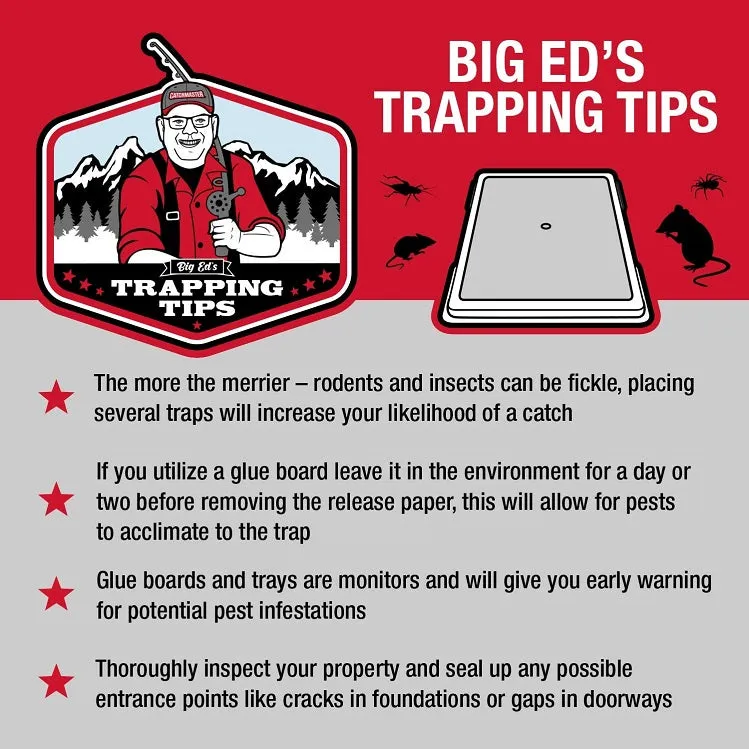 Catchmaster® Multi-Catch™ Mouse Trap