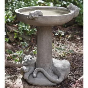 Catnap Cast Stone Birdbath