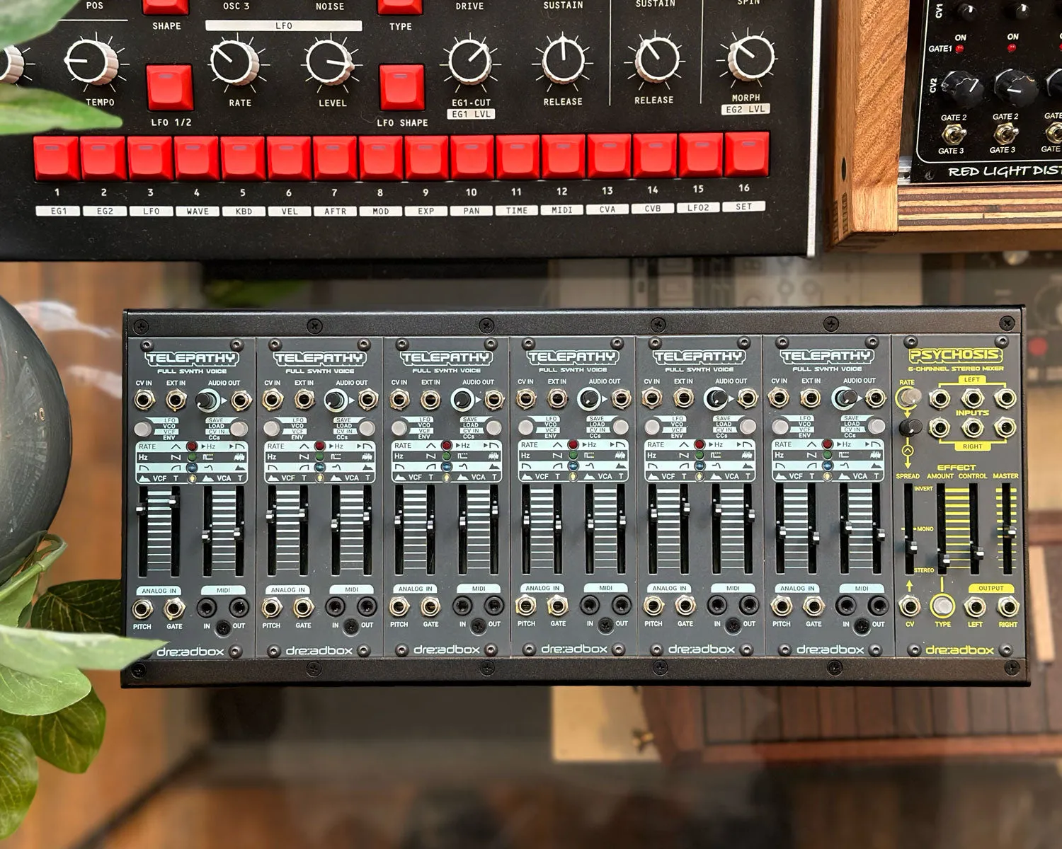 Dreadbox Telepathy Bundle