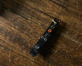 Ginkosynthese Phono
