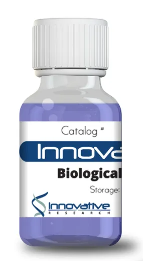 Human SCARB2 Recombinant Protein C-6 His Tag Lyophilized