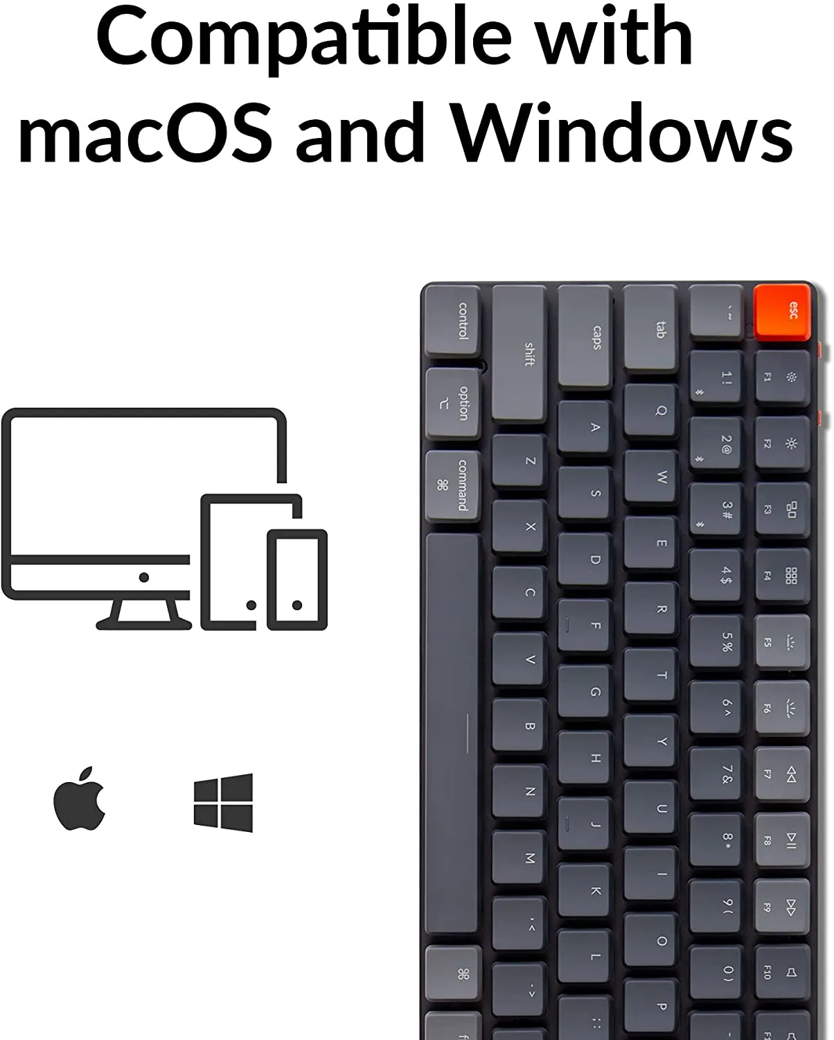 Keychron K3 Ultra-Slim 75% Layout Wireless Bluetooth/Wired USB Mechanical Keyboard, Hot Swappable Low-Profile Keychron RGB LED Backlit 84 Keys Keyboard for Mac Windows (Optical Blue Switch) (K3E2)