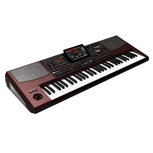 Korg PA1000 61-Key Pro Arranger With Speakers