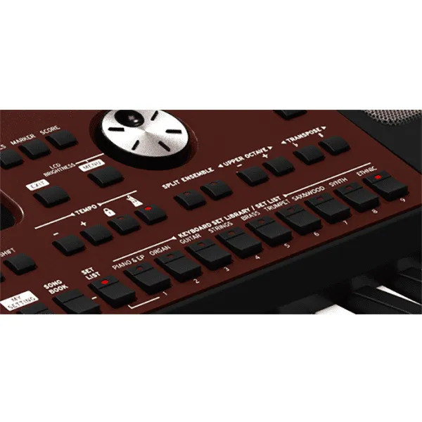 Korg PA700 Professional Arranger 61 Keys Keyboard