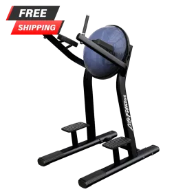 Life Fitness Signature Series Leg Raise