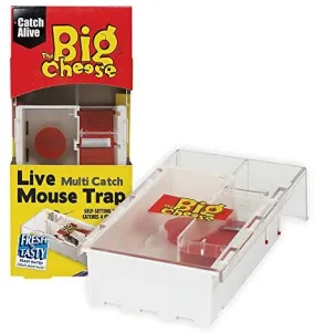 Live Multi-Catch Mouse Trap Live Multi-Catch Mouse Trap