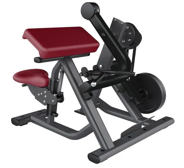 MDF Elite Series Bicep Curl
