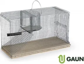 MULTI CATCH MOUSE TRAP