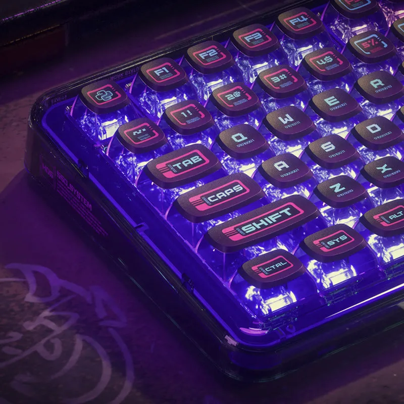 PIIFOX Cyberpunk ASA Profile PBT Keycap Set 117 Keys