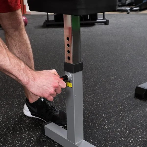 Pro Select Biceps And Triceps Machine GCBT-STK