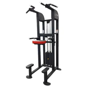 SelectEDGE Dip / Chin Assist 1122 Legend