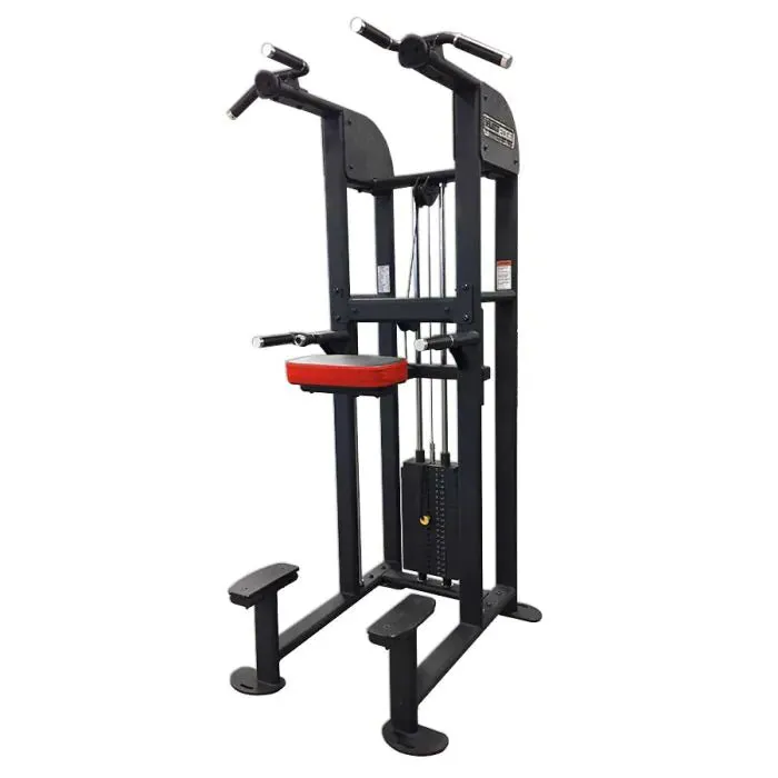 SelectEDGE Dip / Chin Assist 1122 Legend