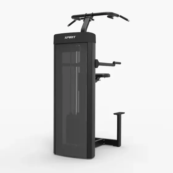 Spirit Dual Pull Up/Dip Assist