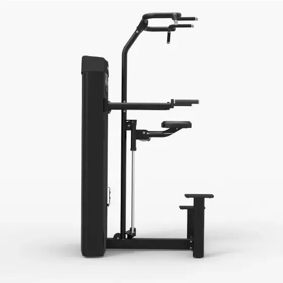 Spirit Dual Pull Up/Dip Assist