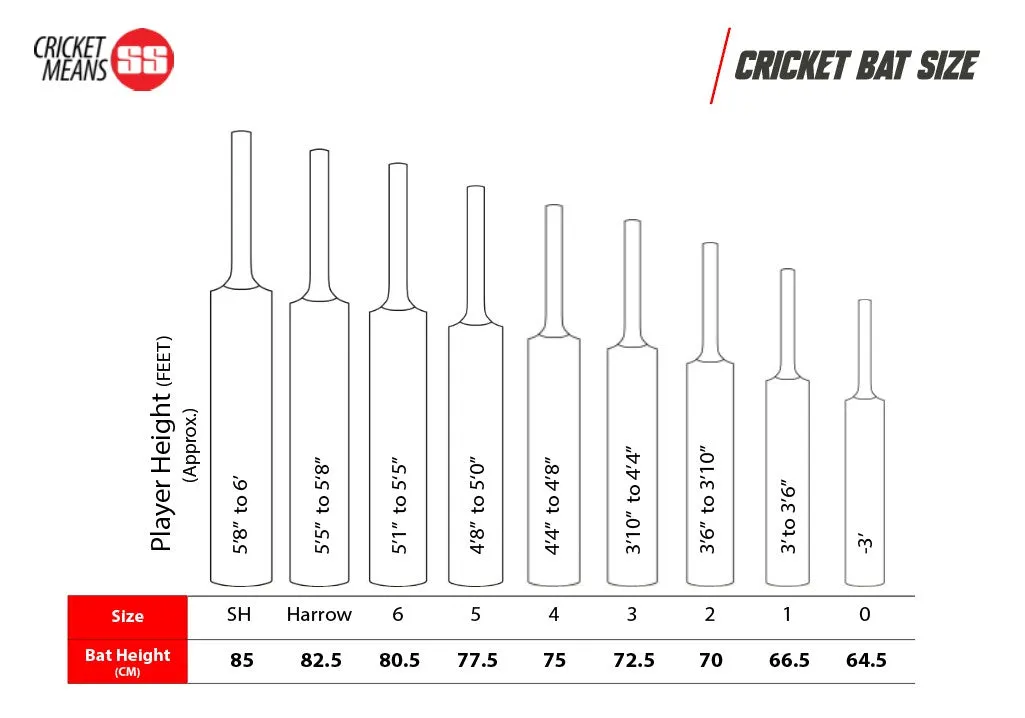 SS TON Player Edition English Willow Bat